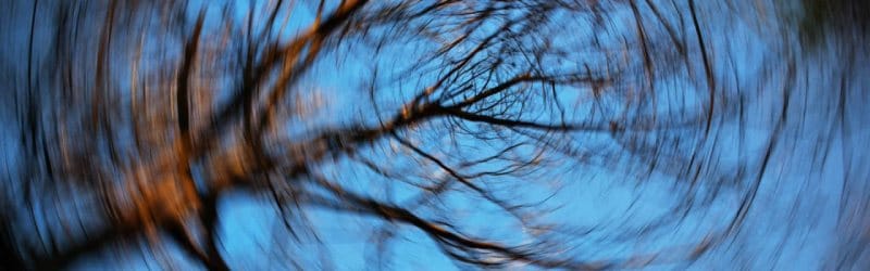 A long-exposure shot of tree spinning around the center