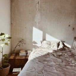 A bed and nightstand with a plant.