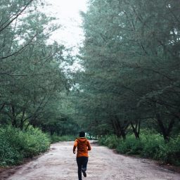 Behind shot of a jogger running in a park.