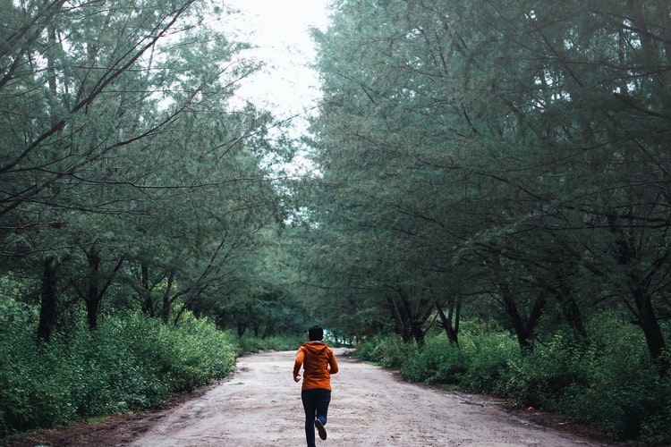 Behind shot of a jogger running in a park.
