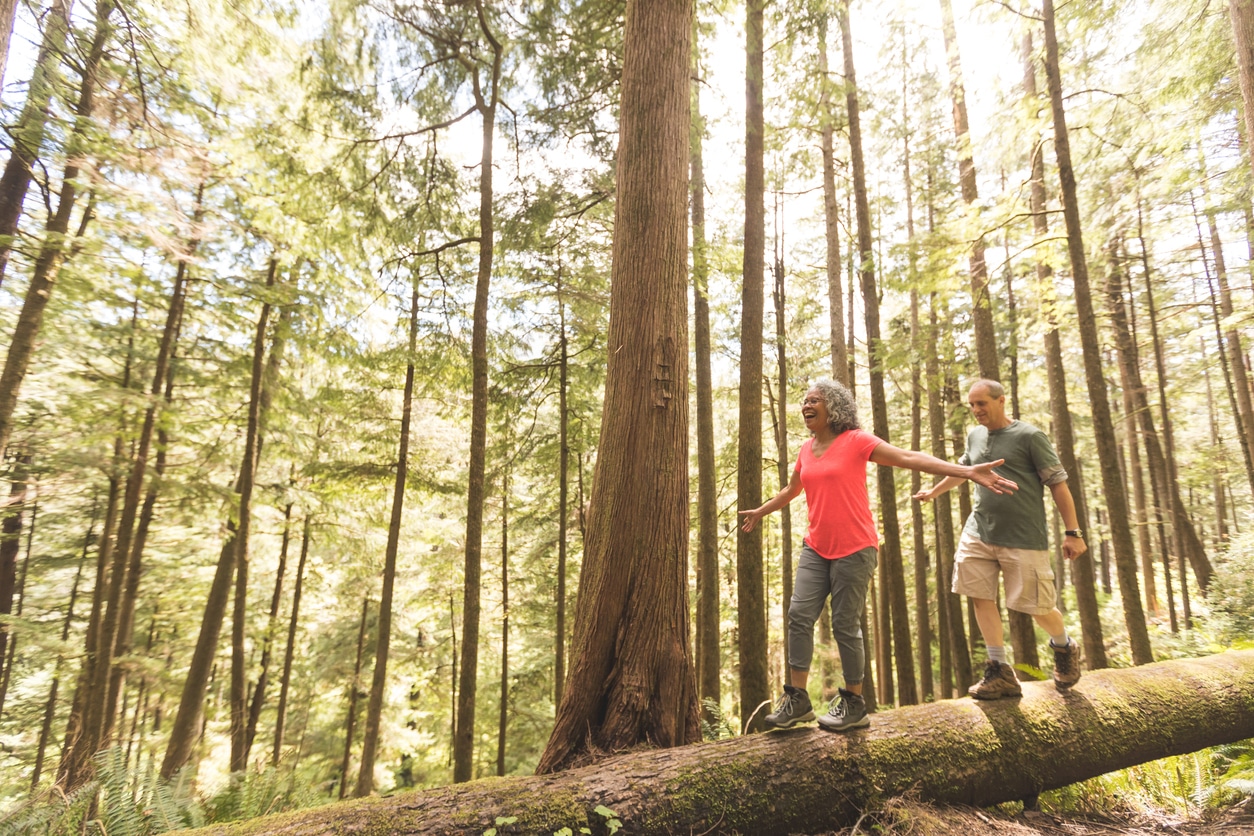 Couple balancing on a log in the forest