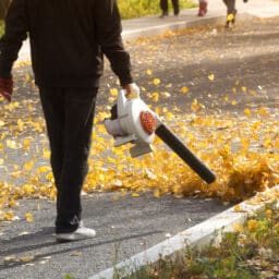 Man blowing leaves off the road