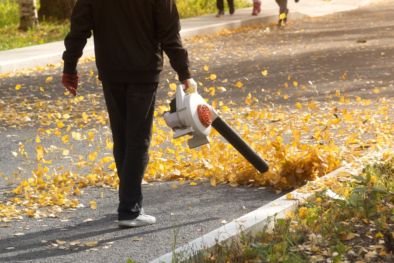 Man blowing leaves off the road.