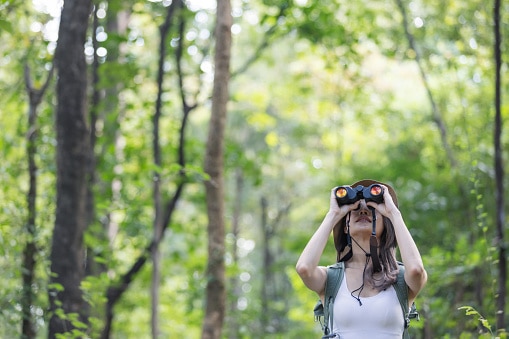 A young woman wearing a sun hat and light-colored outfit stands in a lush green forest, holding binoculars. She looks up with curiosity, as if observing birds or wildlife in the peaceful environment