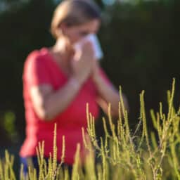 Blurred woman blowing her nose with ragweed in the foreground.